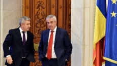 Iordache Tariceanu