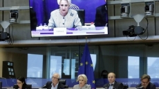 Dancila