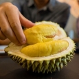 Durian