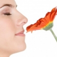 Miros floare