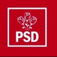 psd