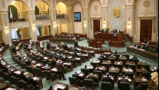senat