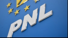 pnl