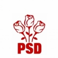 psd