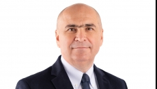 bolo